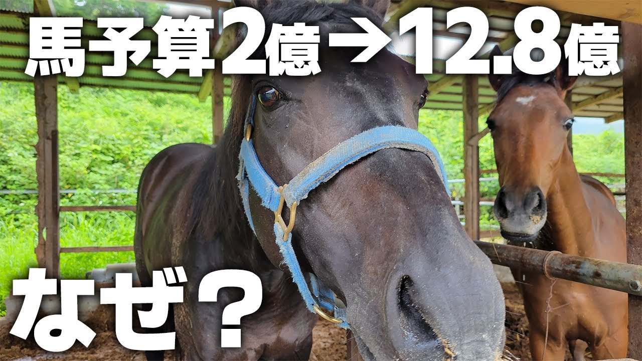 馬予算2億→12.8億 なぜ?