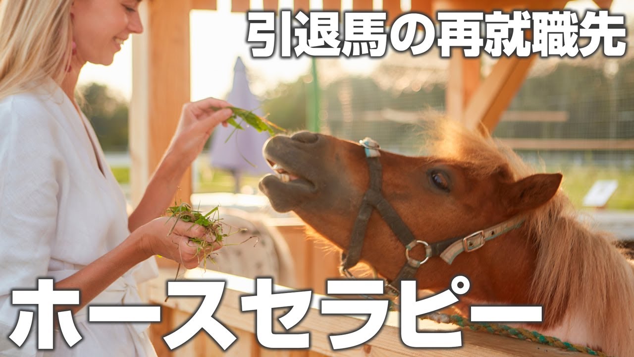 引退馬の再就職先 ホースセラピー